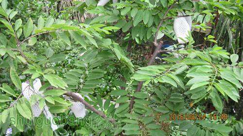 IMG_0206_����.jpg
