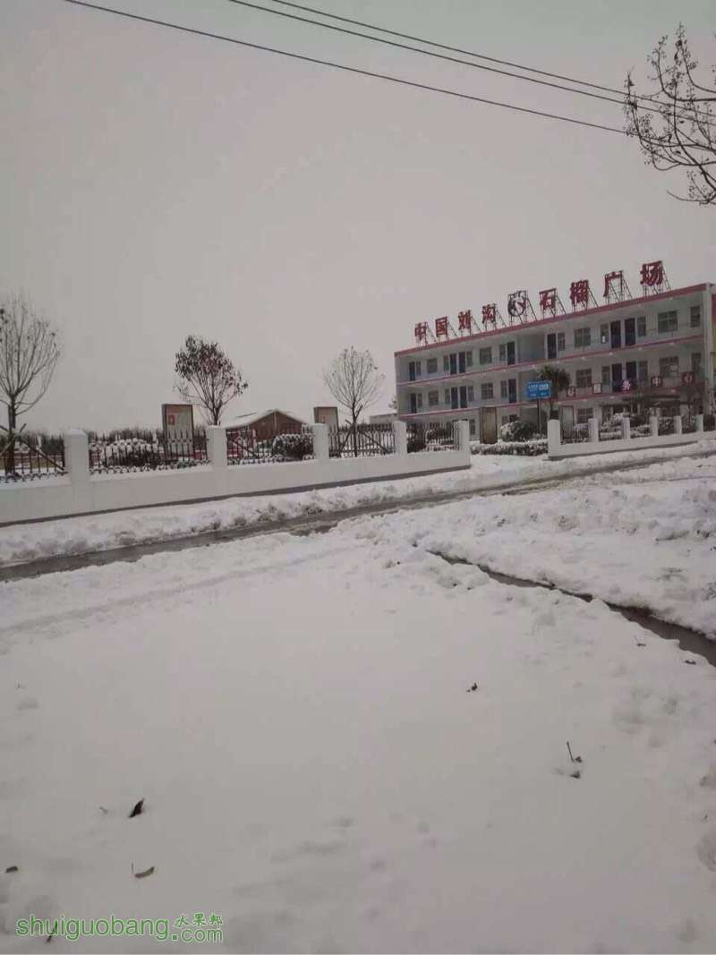 203528fqoyp73s37832j03.jpg