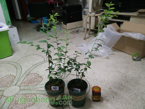IMG20160824182628.jpg