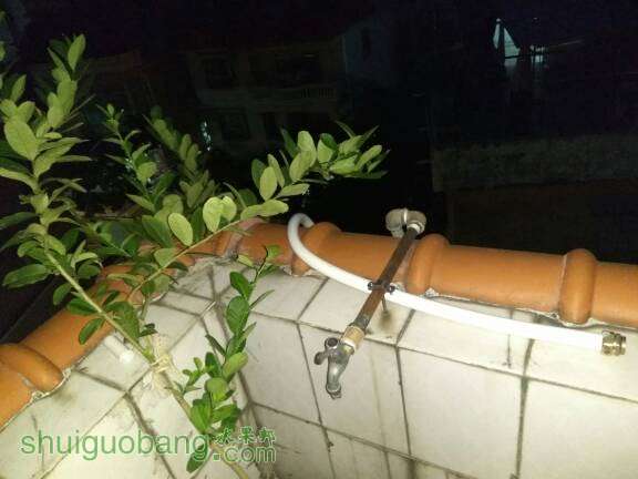193204jygpi8ikwzk3ijei.jpg