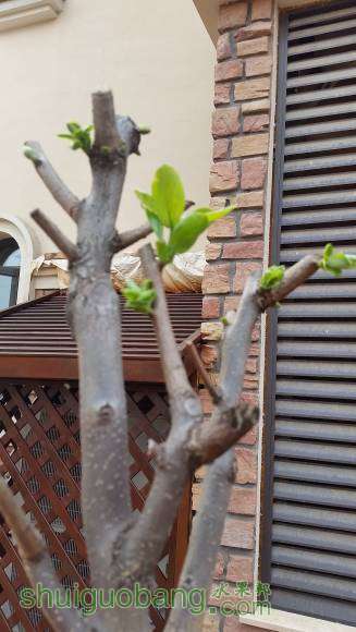 20160402_154847.jpg