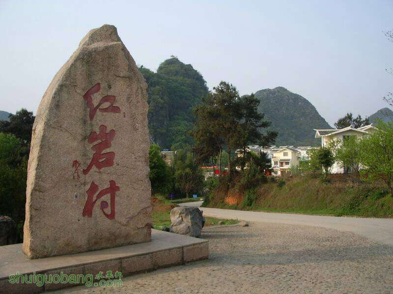 080314crnaqgu8mwwsis7s.jpg