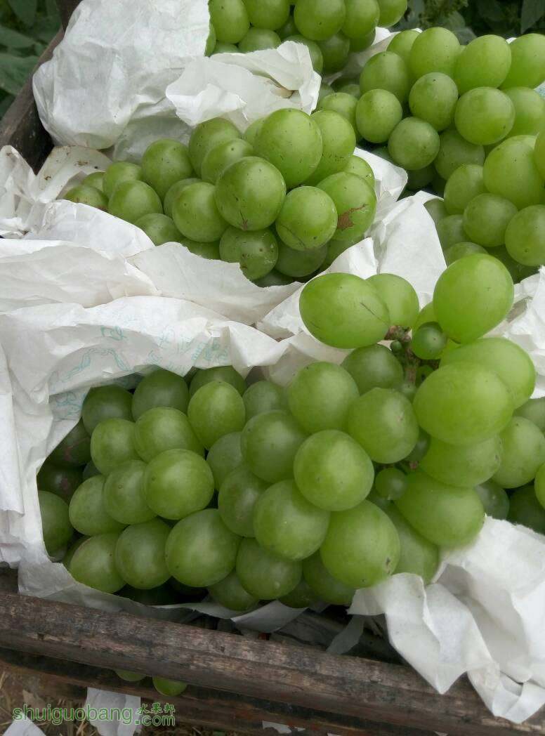 121250c6yumhfhiee71f3p.jpg