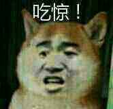 223935eoooomyyg9ho99tg.jpg
