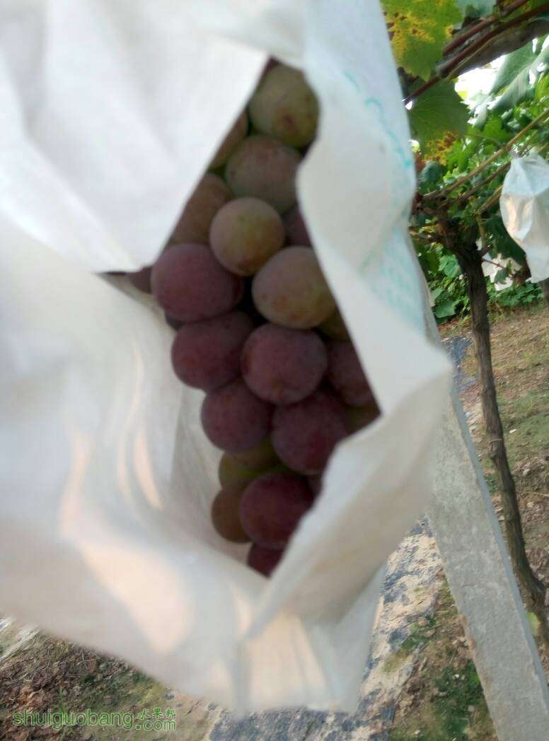 230322uv2bb2t9iuvb2twh.jpg