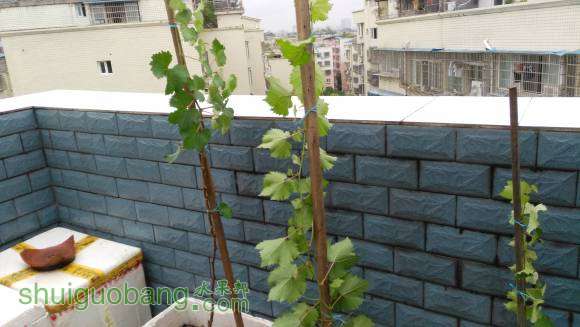 һ��һ��ĳ��ú�Щ