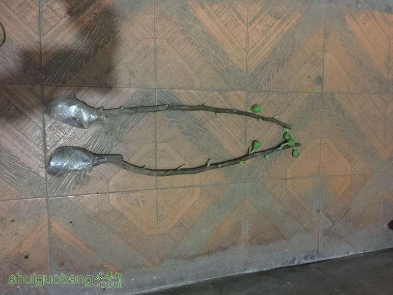201817cmt88rt97to8k7o7.jpg