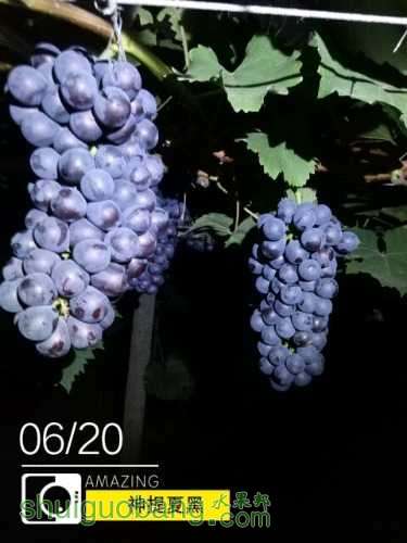 1466769353070_IMG_20160620_213344.jpg