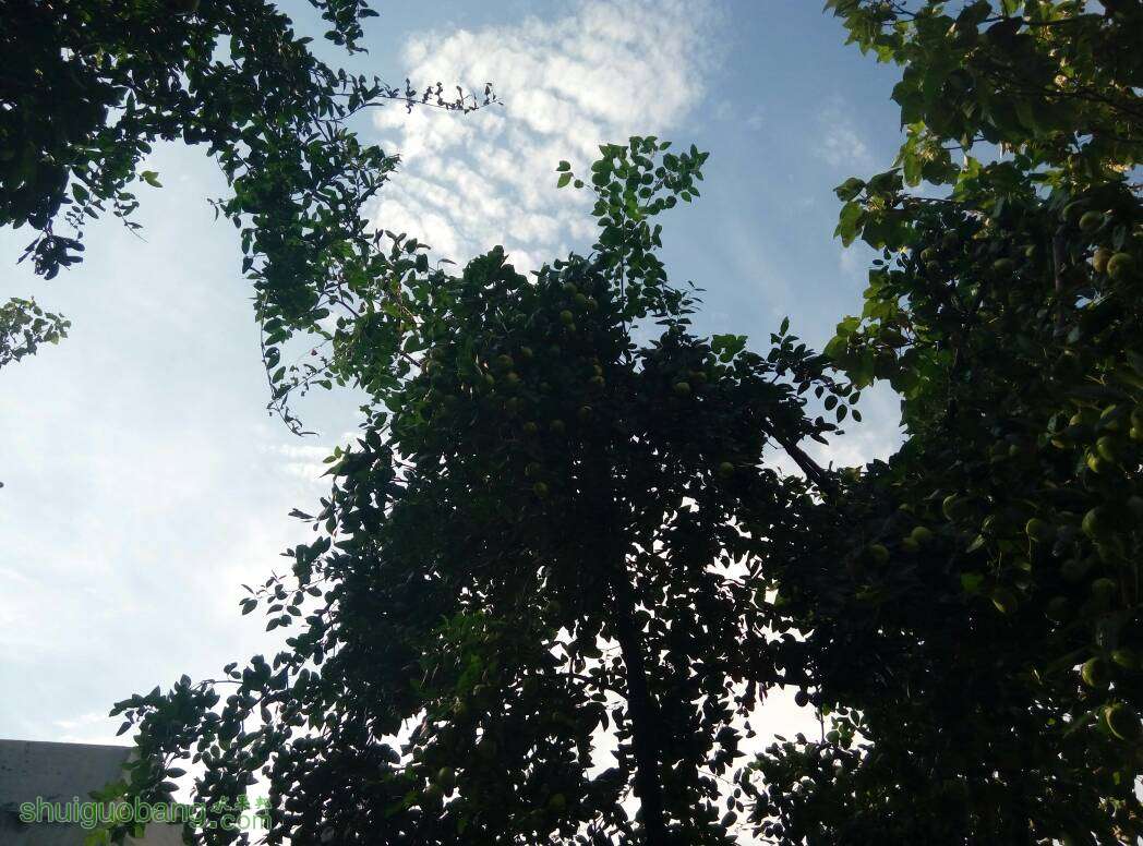 124045veg302hegcpn0h0z.jpg