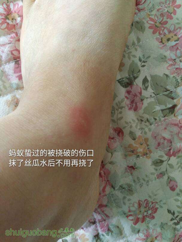 114633jn9cl99l9l4ngecc.jpg
