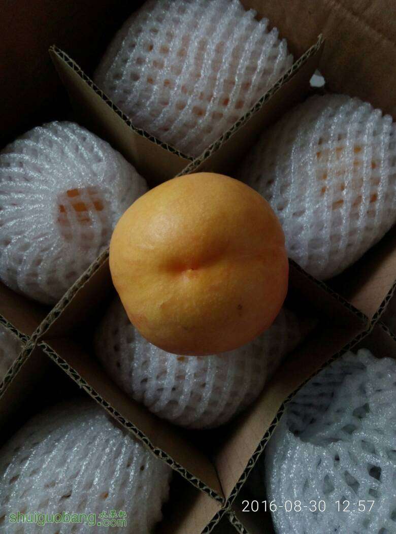 130458lzp3ebkr6kbq5bas.jpg