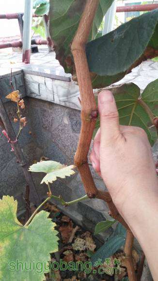 20160820_184304.jpg