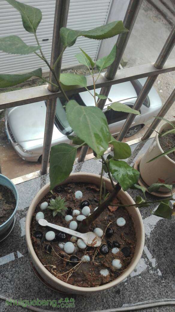 162319kkt56tdzkdzv56mk.jpg