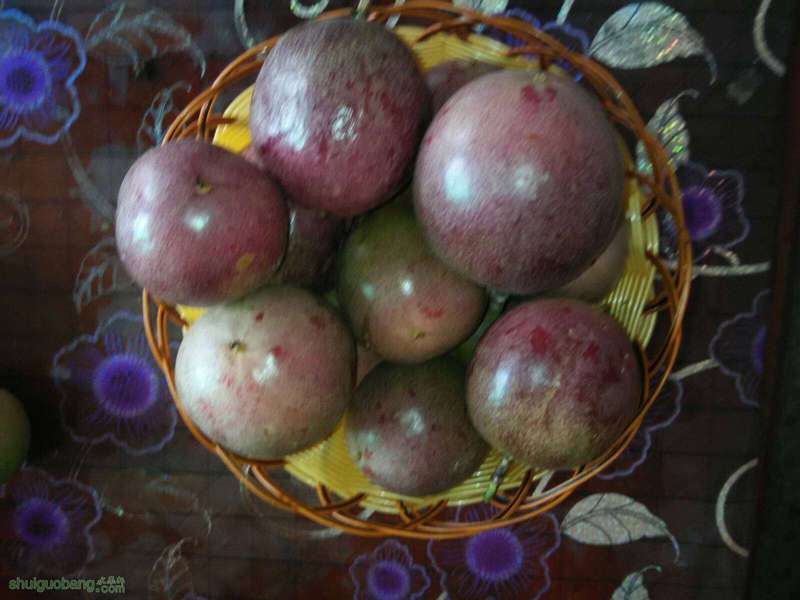 123012sjvibtjkj3injk8v.jpg