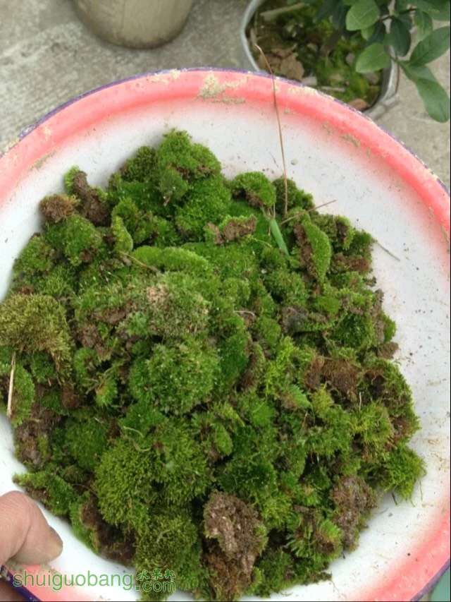 222843xo6g7ko2r2b0k2k2.jpg