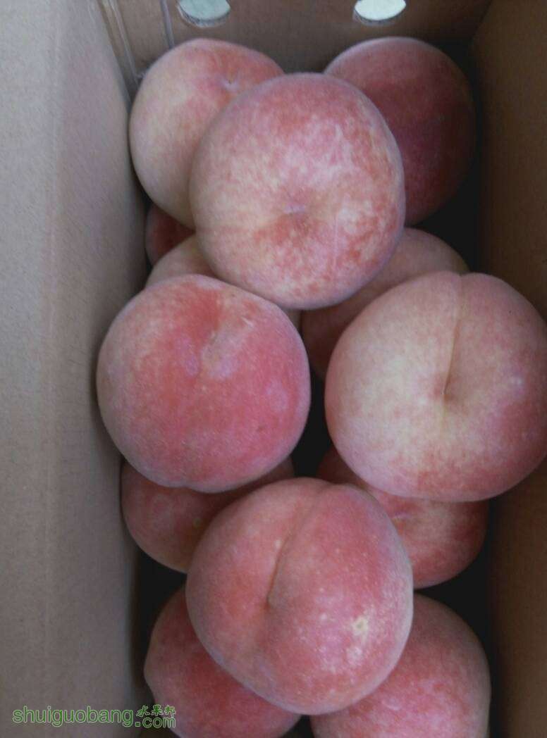 233605krr6t4r1ajm00pvn.jpg