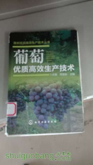 IMG_20160902_094854.jpg