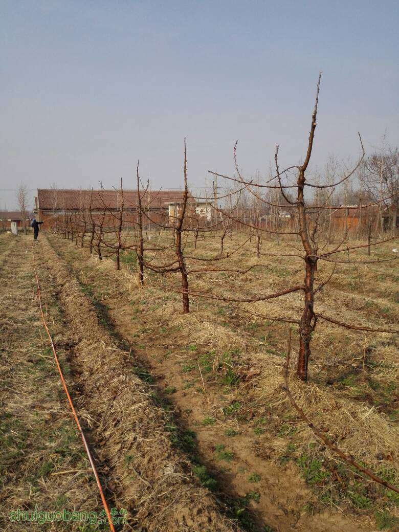 200839icrdzrqvvcasqagd.jpg