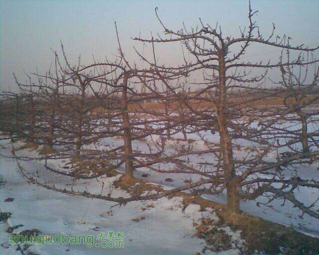 200840nibon3c9msj92itb.jpg