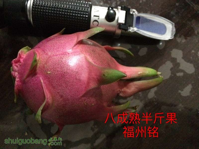 001100udesn7xh2phs667f.jpg