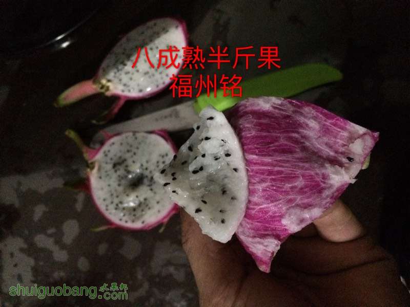 001117izd4r9wx77c9cz8c.jpg