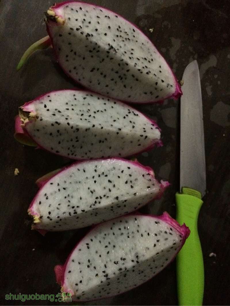 001453ykkwktkvq0ieeqkt.jpg