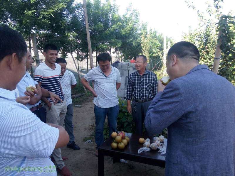 083954pv62d3ha33r3f9hw.jpg