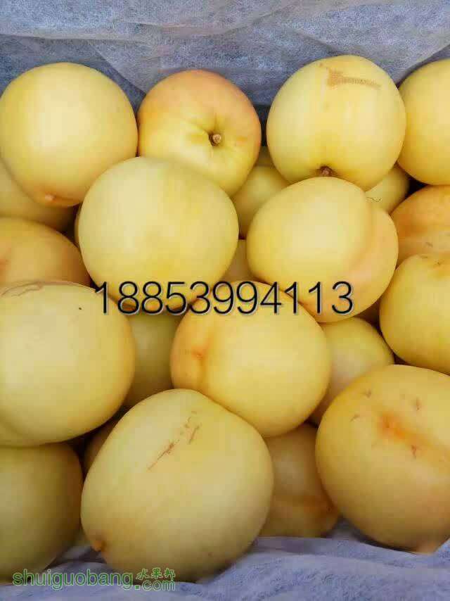133435k3xu21uncspui1b3.jpg