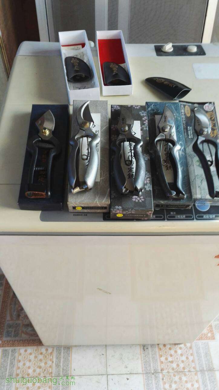 200928pov49vek6dhzie99.jpg