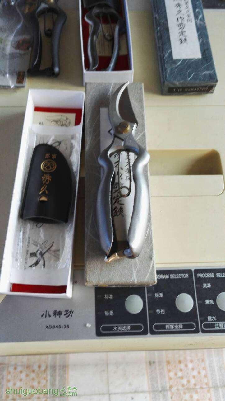 200929uegetnggx3d033gt.jpg