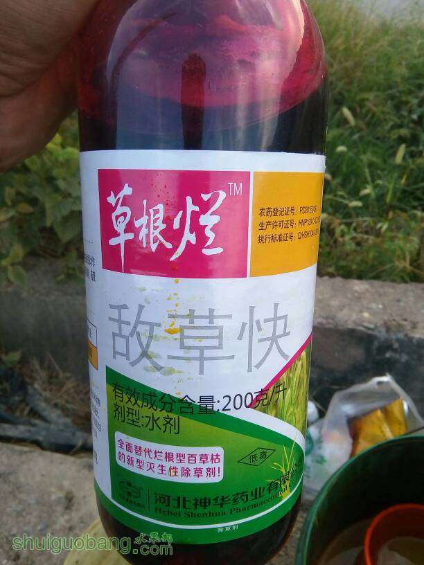 235827kbhp4chhh9pl6wzh.jpg