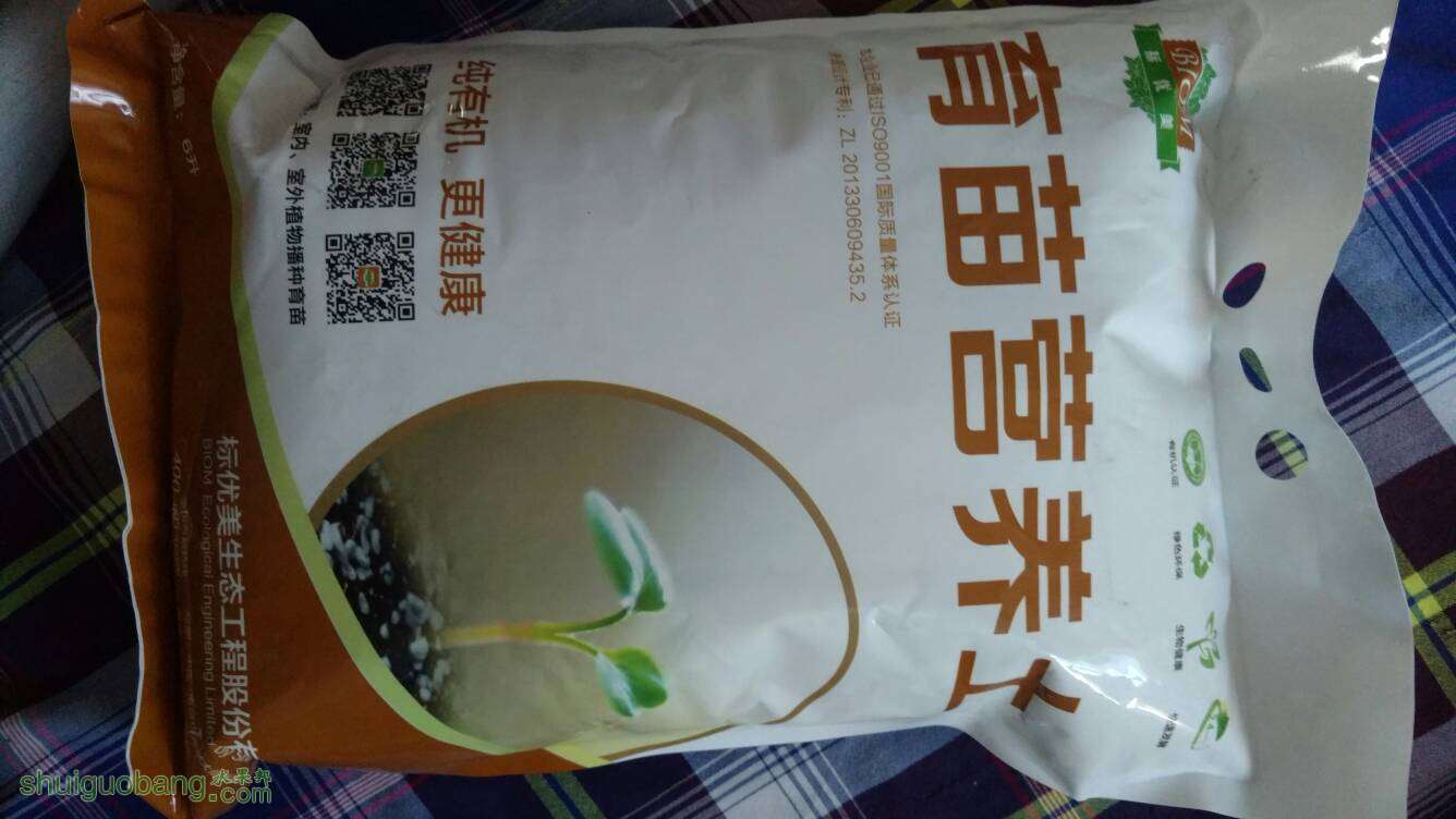 125734sxu0xduuk9a9unn6.jpg