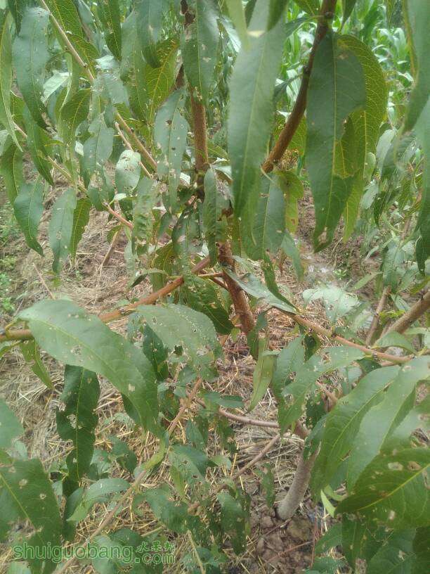 210828whwwm2es7hommfn9.jpg