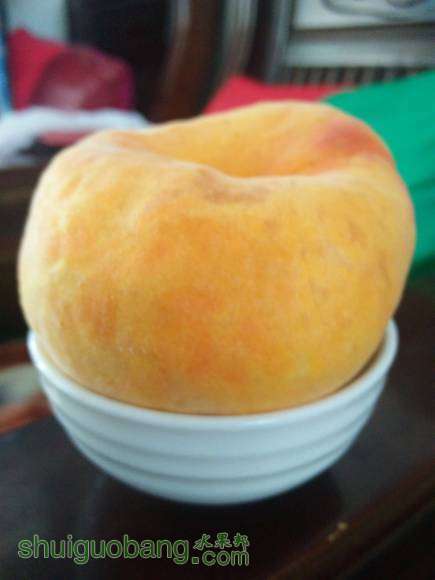 IMG20160803170314.jpg