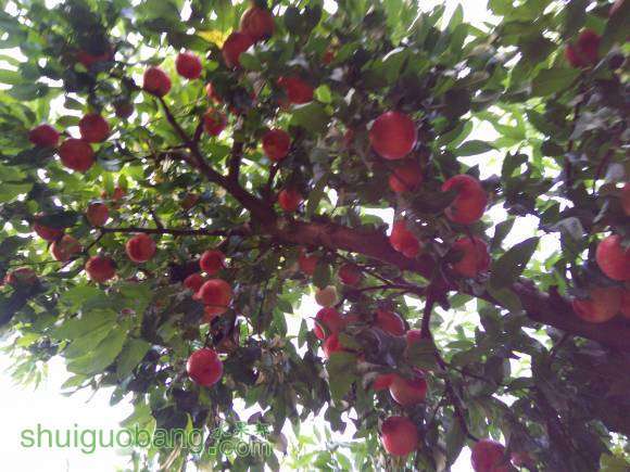 IMG20160710185229.jpg