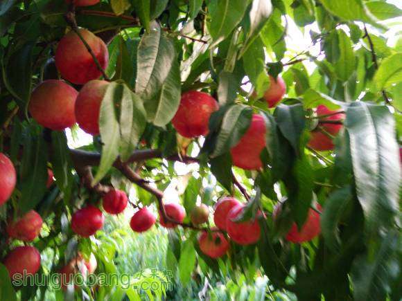 IMG20160710185537.jpg