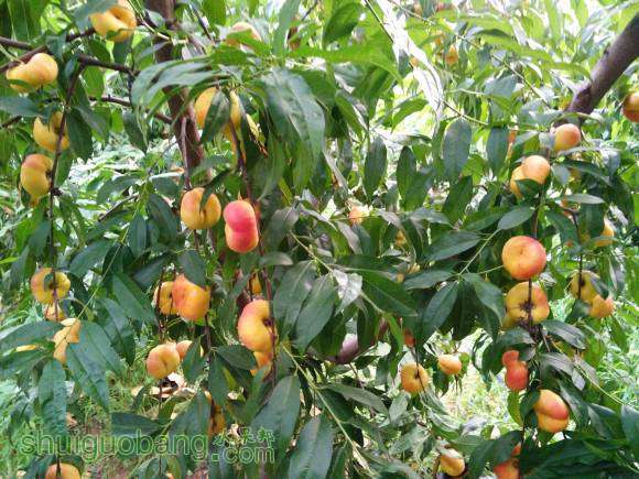 IMG20160807055600.jpg