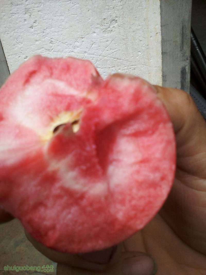 171456msjnhoycrgn1yvfx.jpg