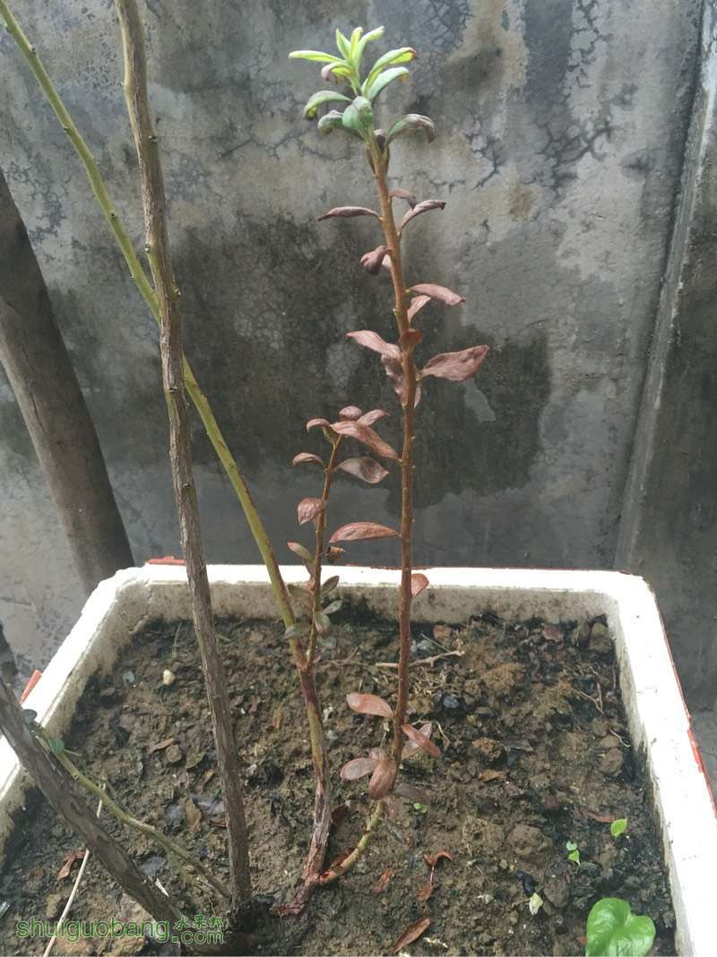 230456kg37wnaw73g4o7ze.jpg