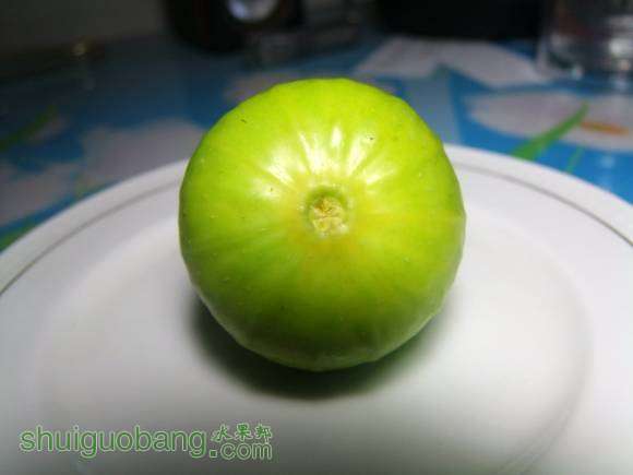DSCF6776.JPG