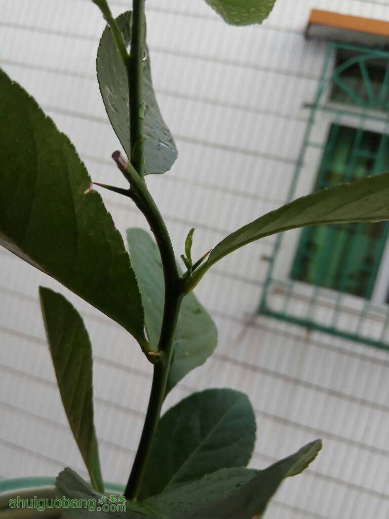 150113j0i01h15inbnvvcd.jpg