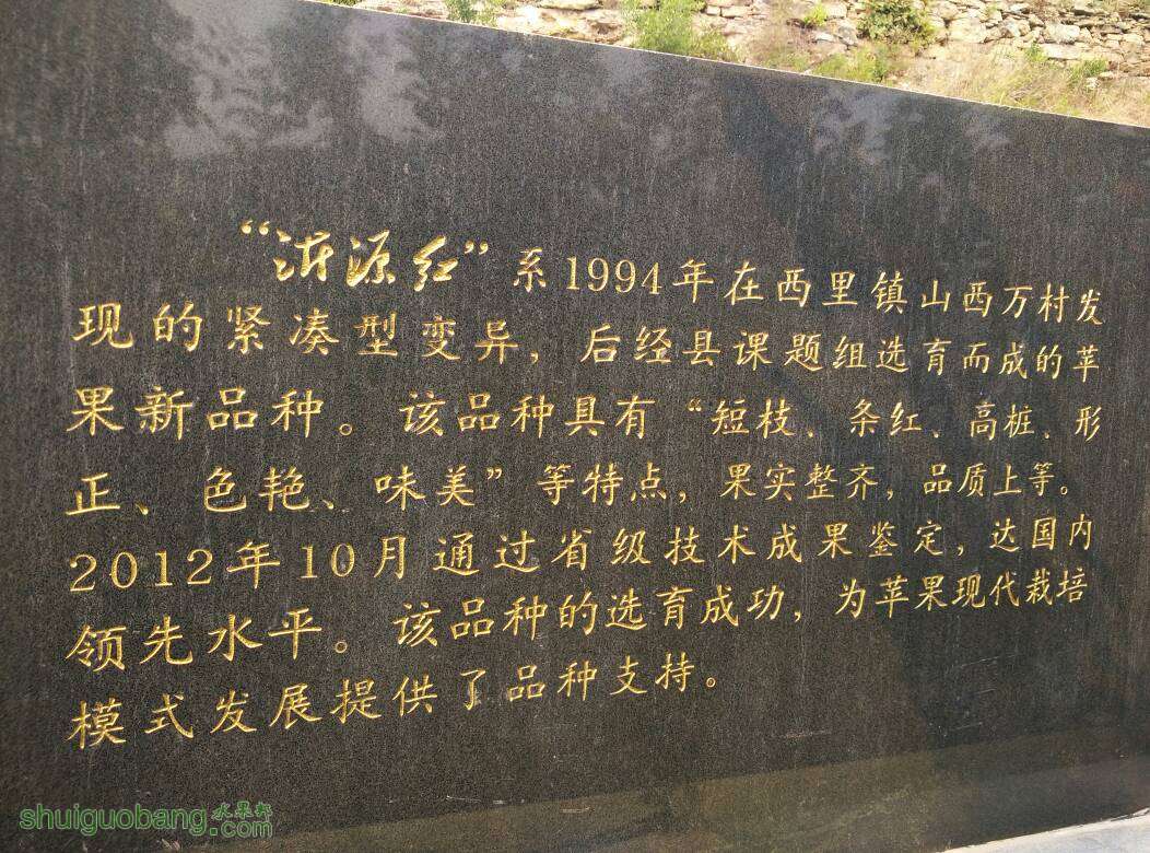 233256kru2g0xmernznyez.jpg