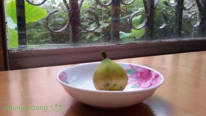 105047vmooophihv8omh4i.jpg
