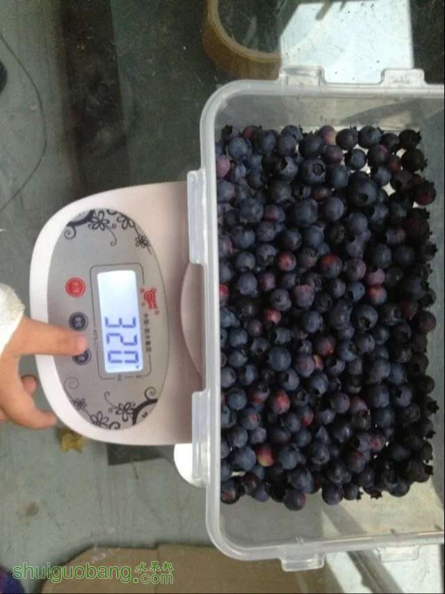 235612uyeu5eg4hvybgehg.jpg