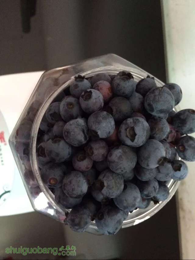 000937kbw3o2wr1h25b35l.jpg