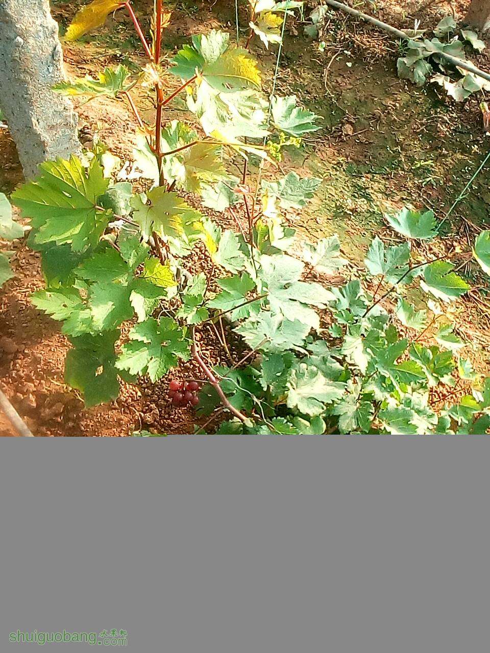 041827m9cgzklz15wgdwkz.jpg