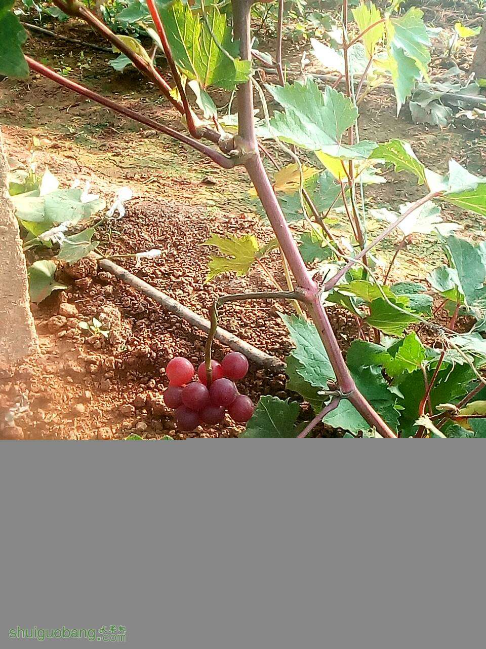 041827urx03rnr05006n5k.jpg