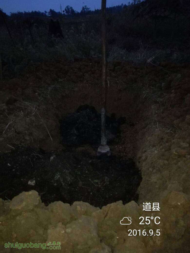 071449mwzaqzpe9sgezo1x.jpg