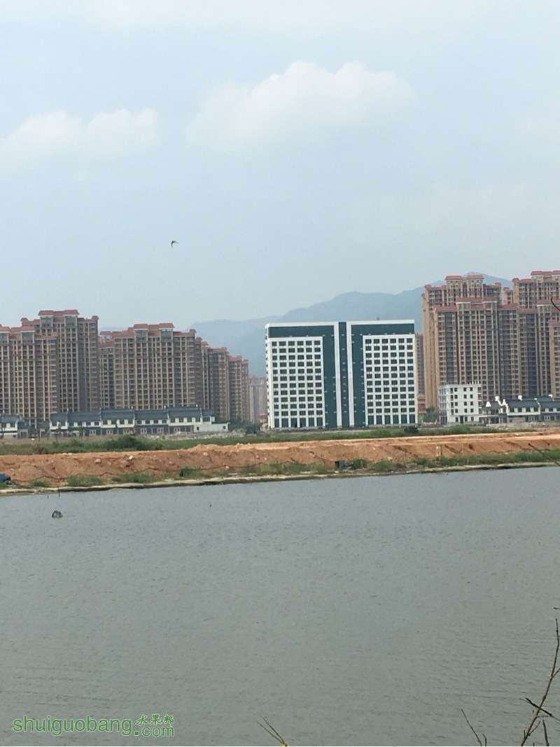 105348xa2suyu6yu37hhoc.jpg