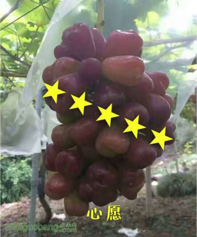 201021pvyt7cvyty3vnpyr.jpg